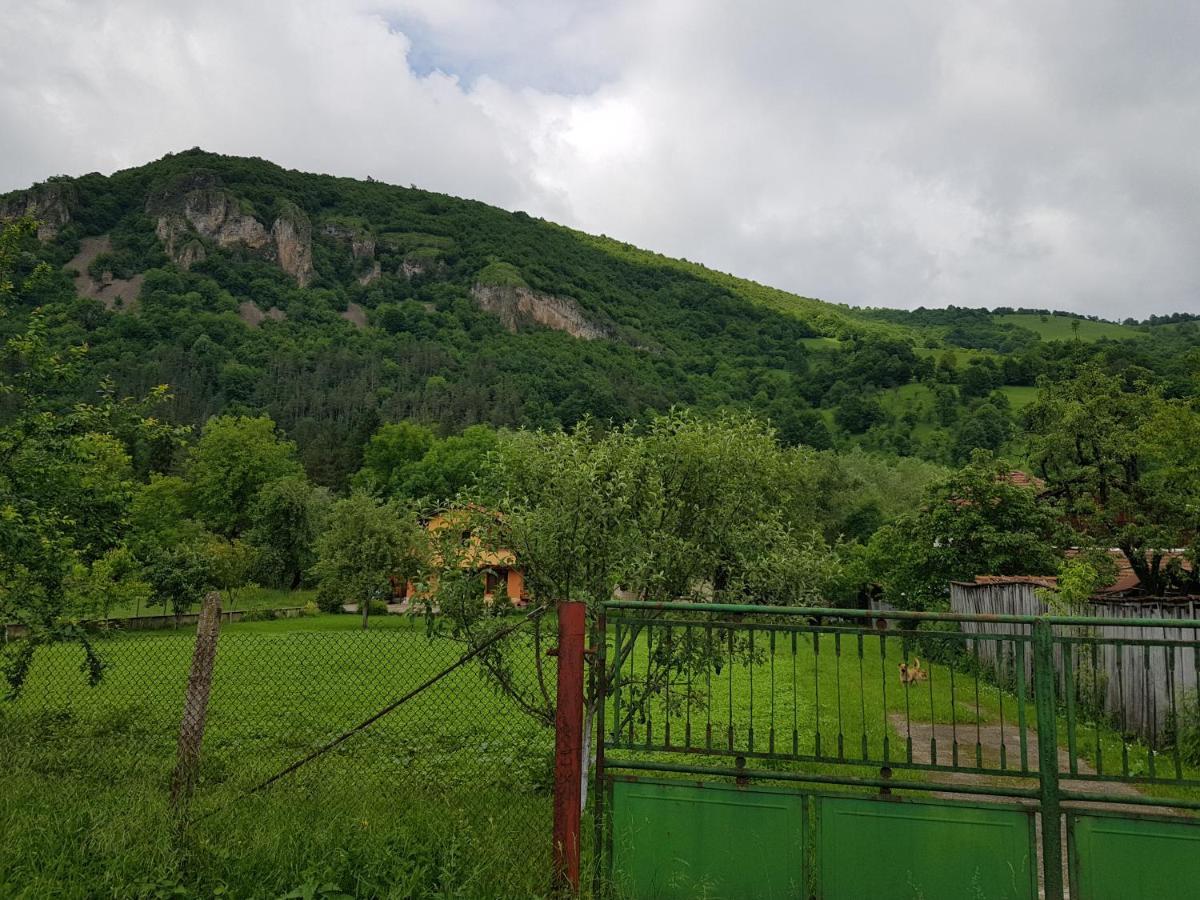 Мечтаната Селска Къща На Реката Със Семейство И Приятели! รีบาริตซา ภายนอก รูปภาพ